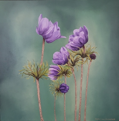 Anemones